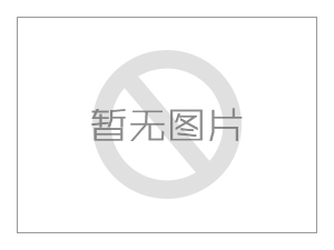 缅军一上将被敏昂莱重点提拔 手中所握权力甚至超过索温